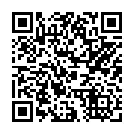 QR code for G28642