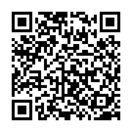 QR code for G29229