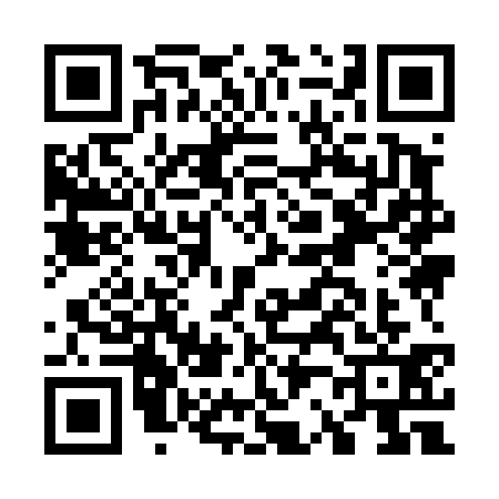 QR code for G294315