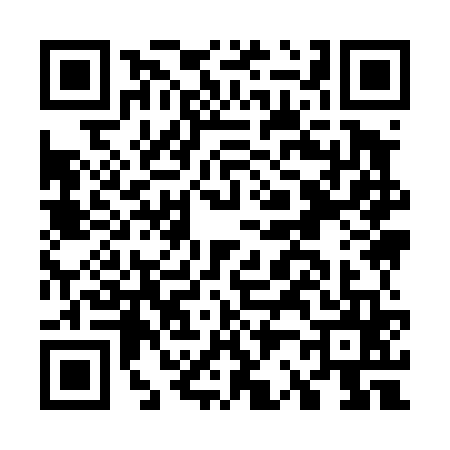 QR code for G294657