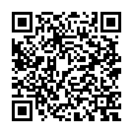 QR code for G294738