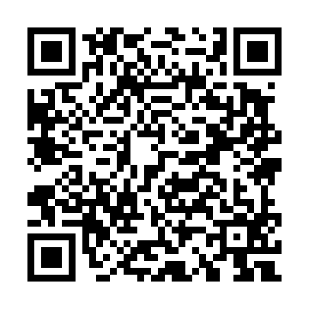 QR code for G294967