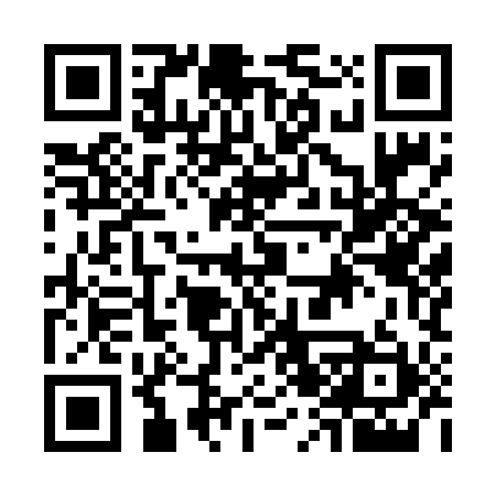 QR code for G29691