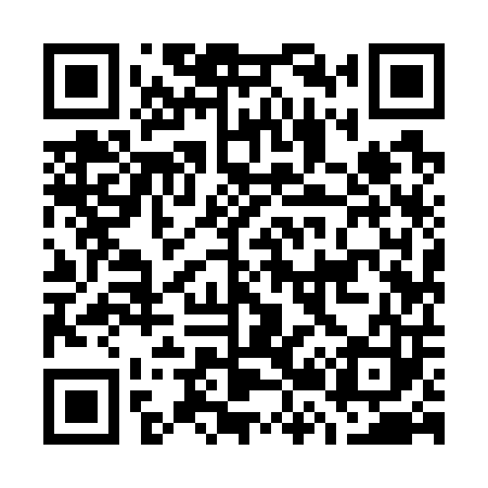 QR code for G29703