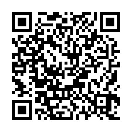 QR code for G29822