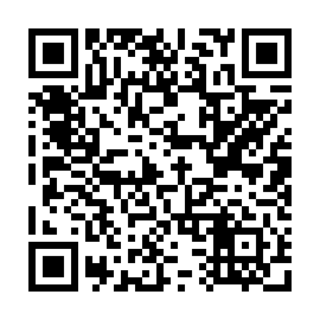 QR code for G31641