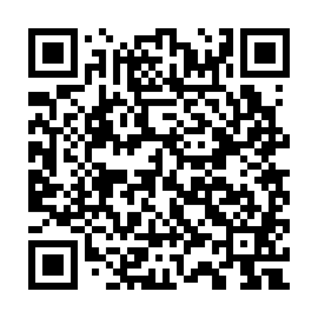 QR code for G32381