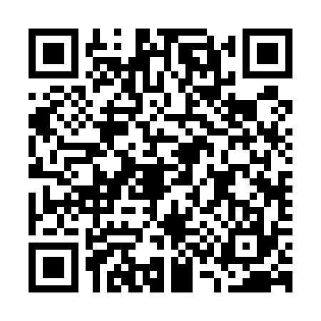 QR code for G325377