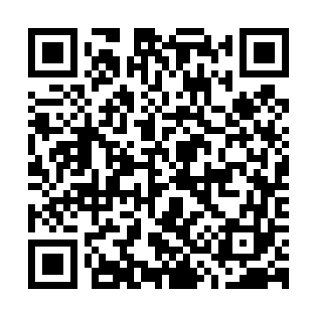 QR code for G33463