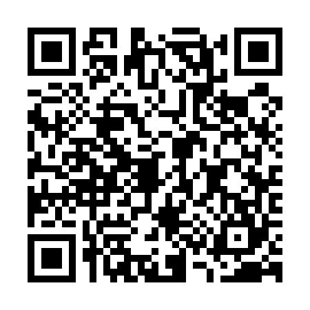 QR code for G335647