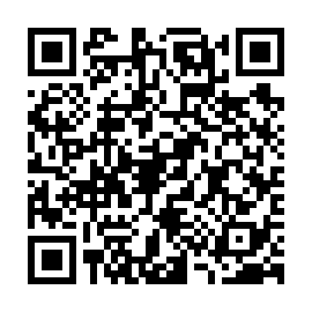 QR code for G336383