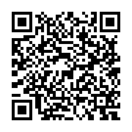 QR code for G338166