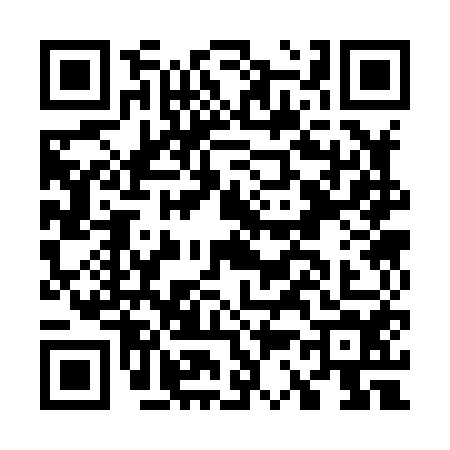 QR code for G338546