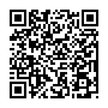 QR code for G338748
