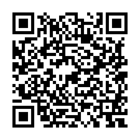 QR code for G338804
