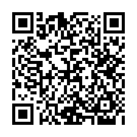 QR code for G346871