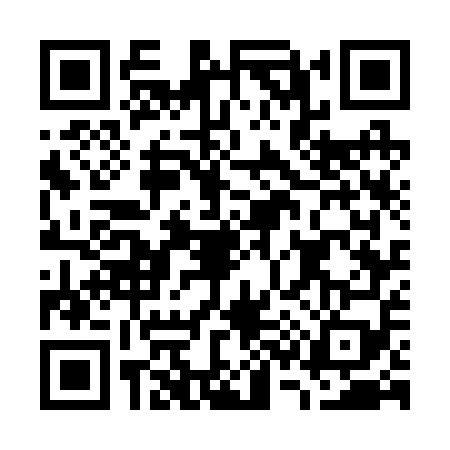 QR code for G372599