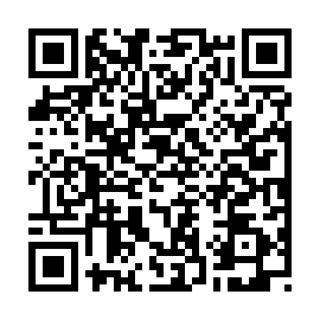 QR code for G375829