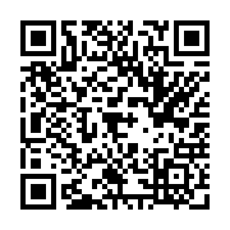 QR code for G376239