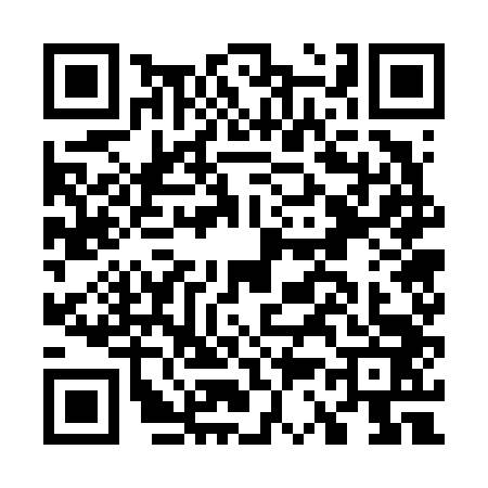 QR code for G376436
