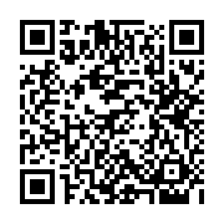 QR code for G376714