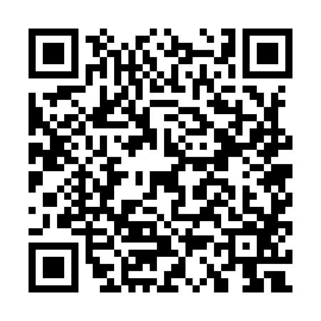 QR code for G379862