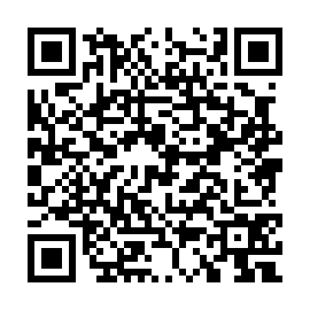 QR code for G380740