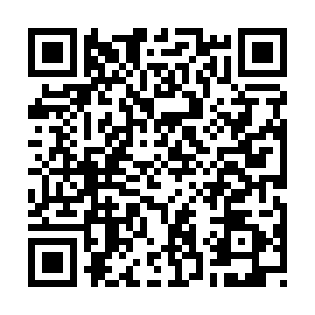 QR code for G381024