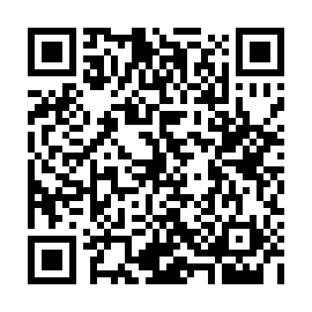 QR code for G381900