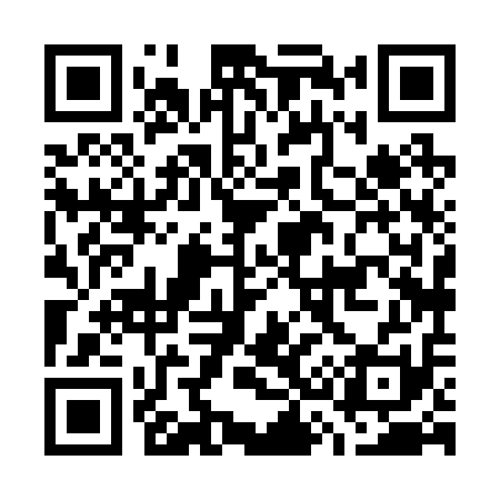 QR code for G38211