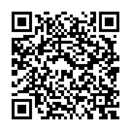 QR code for G384032