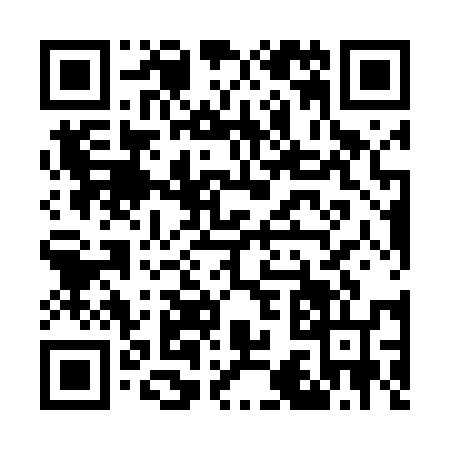 QR code for G384561