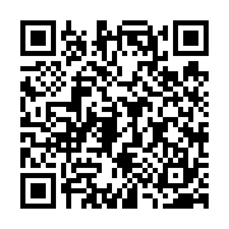 QR code for G386378