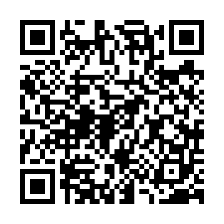 QR code for G386525