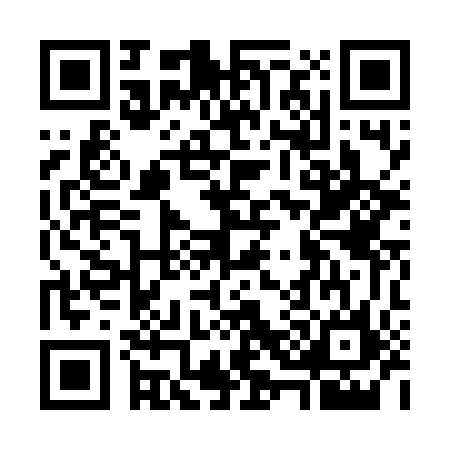QR code for G387564