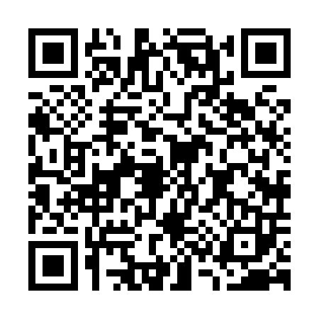 QR code for G388034