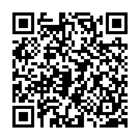 QR code for G392541