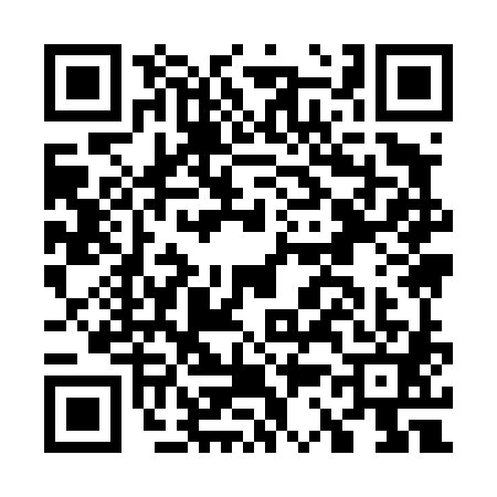 QR code for G394813