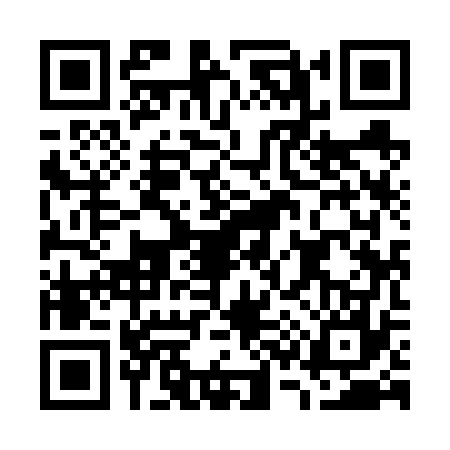 QR code for G396771