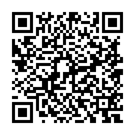 QR code for G408528
