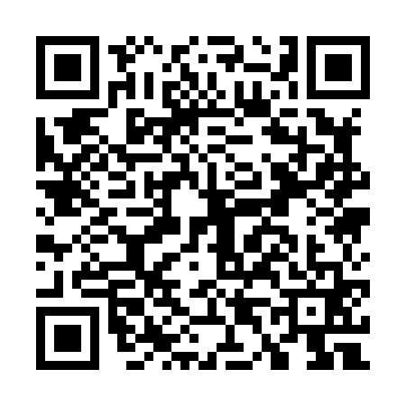QR code for G418613