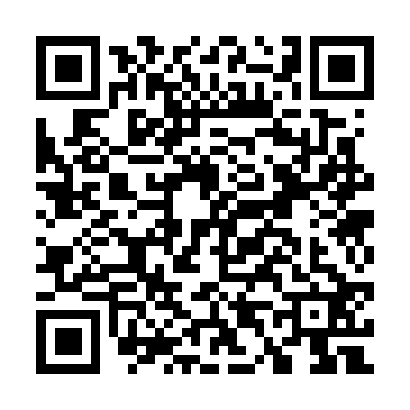 QR code for G437225