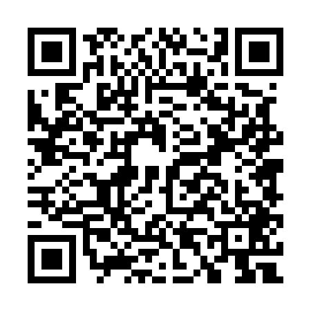 QR code for G445494