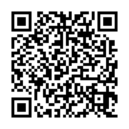 QR code for G462319