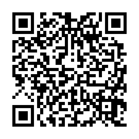 QR code for G463675