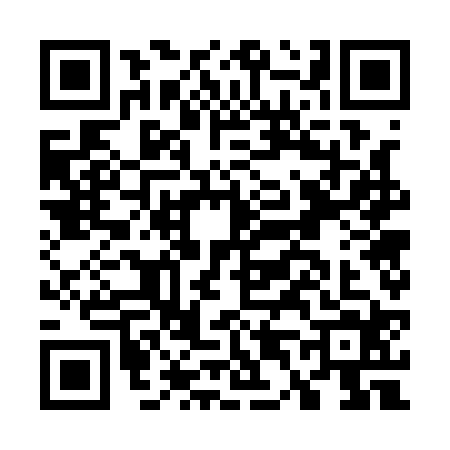 QR code for G471241