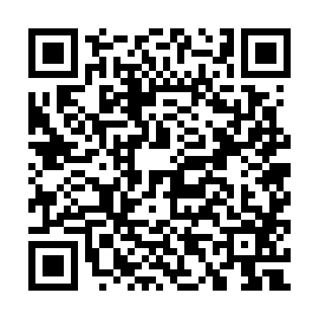 QR code for G477867