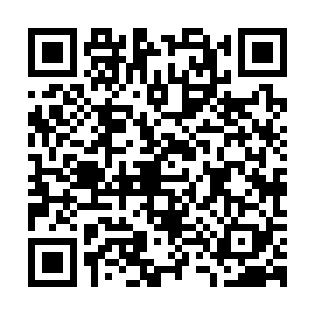 QR code for G483291