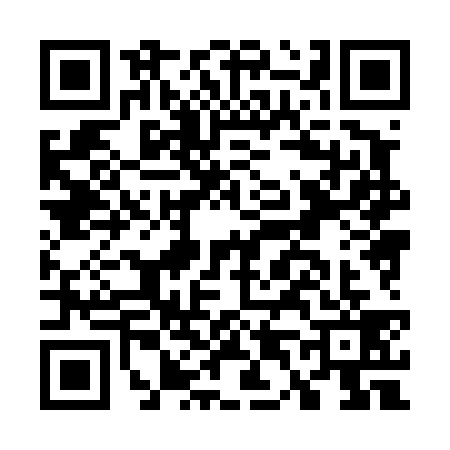 QR code for G484394