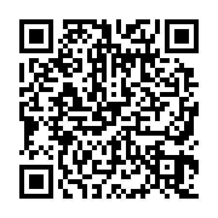 QR code for G493610